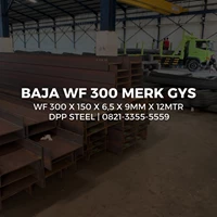 BESI WF 300 X 150 X 6.5 X 9MM X 12 METER GYS/GG/GRP